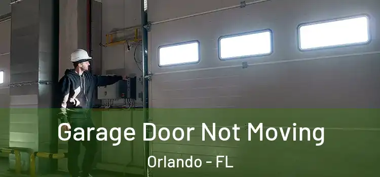  Garage Door Not Moving Orlando - FL