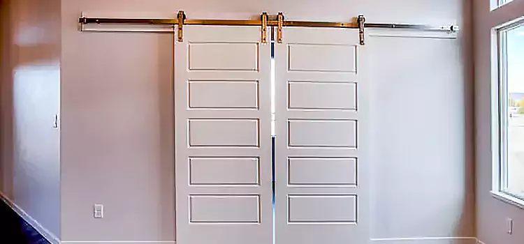 Glass Barn Door with Installation Hardware Kit Orlando