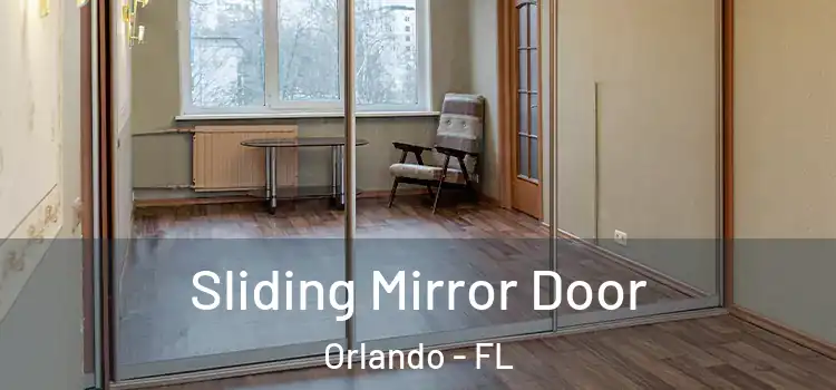  Sliding Mirror Door Orlando - FL